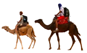 raisardesertcamp.in