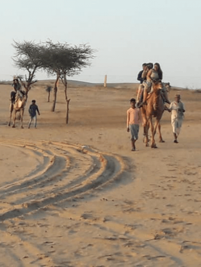 Camel Safari Bikaner Raisar Desert Camp