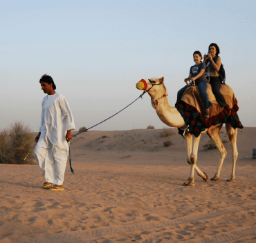 Camel Safari Bikaner